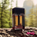 عطر مردانه دیور هوم اینتنس Dior Homme Intense - Image 6